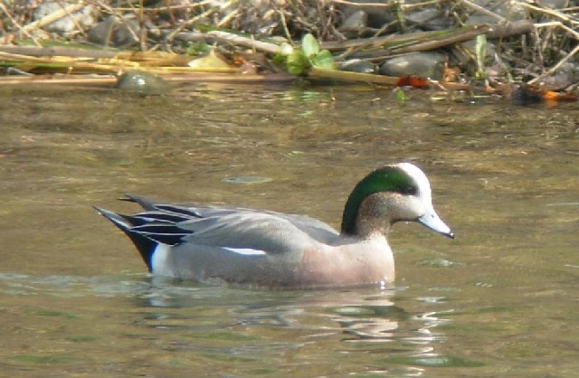 @ AJqh @ss@v@j@2005/11/19@Photo by Takayama@iʐ^񋟁F@Rj