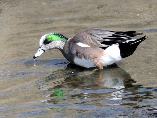 B AJqh @@s@썶݁@2011/02/16@Photo by Kohyuh