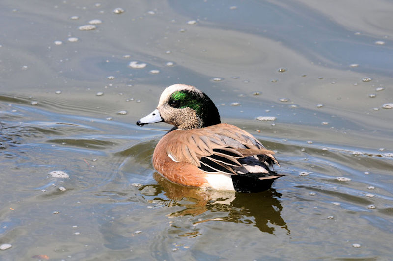 AJqh @ԔLOߌΒn@s@2021/02/25@Photo by Kohyuh