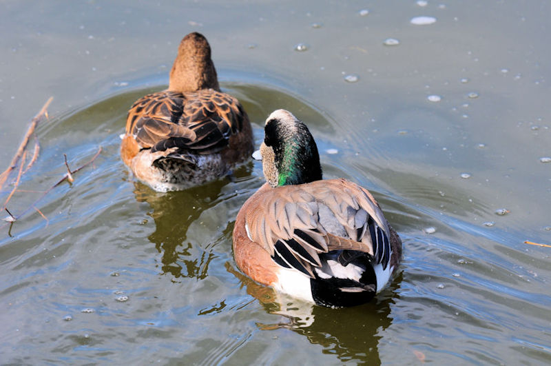 AJqh @ԔLOߌΒn@s@2021/02/25@Photo by Kohyuh