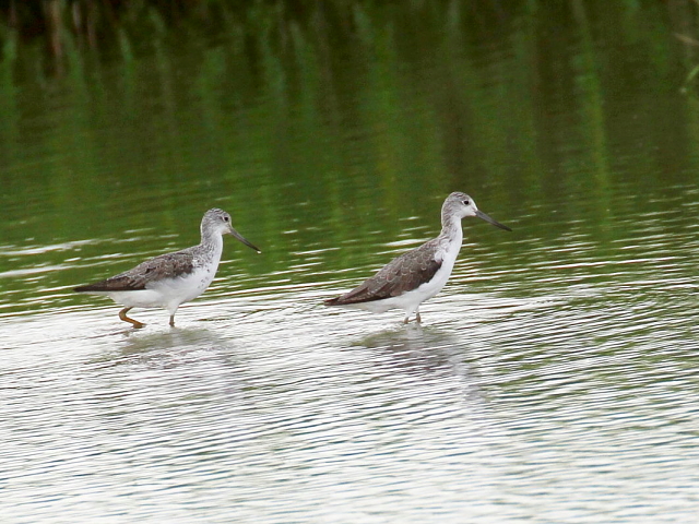 AIAVVM@@iR-2j@ss@@c@2014/08/27@Photo by Manda