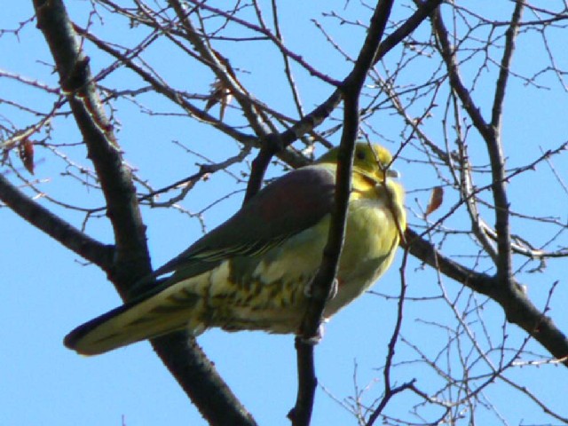 @ AIog @@s@jR @2006/02/10@Photo by Takase