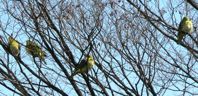 B AIoǧQ @@s@jR @2006/02/10@Photo by Takase