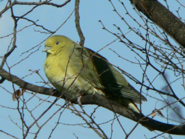 A AIog @@s@jR @2006/02/10@Photo by Takase