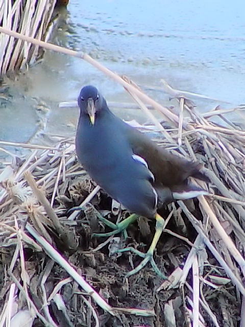 B@oi~Hj@s@J@@2004/02/10@Photo by Kohyuh