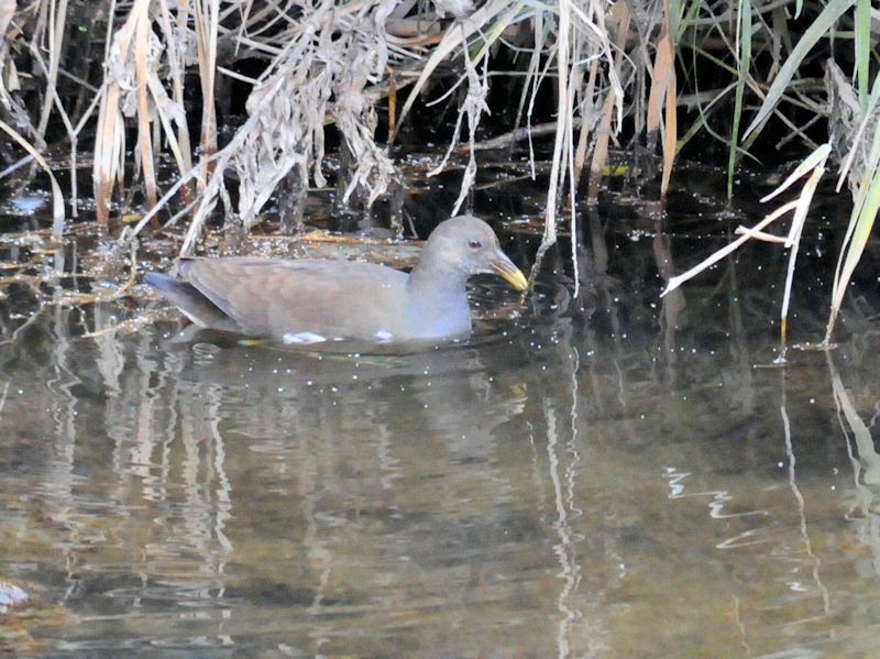 o ᒹ V 2018/12/04@Photo by Kohyuh