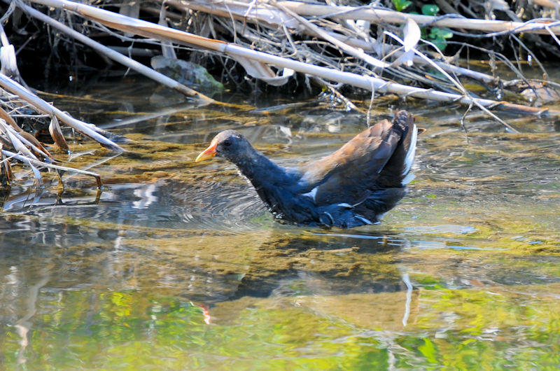 o@ᒹ@J@s@2021/04/15@Photo by Kohyuh