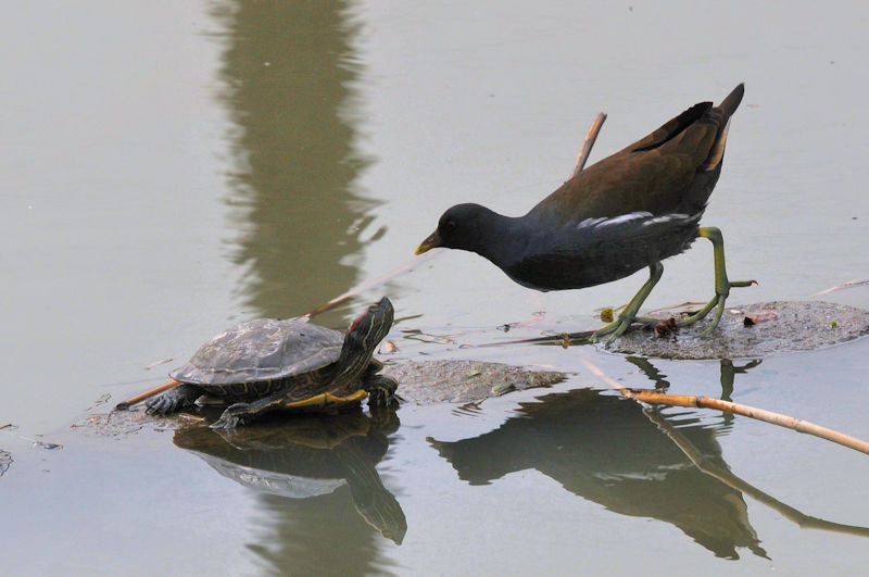 oƃJ@J@s@2022/03/02@Photo by Kohyuh