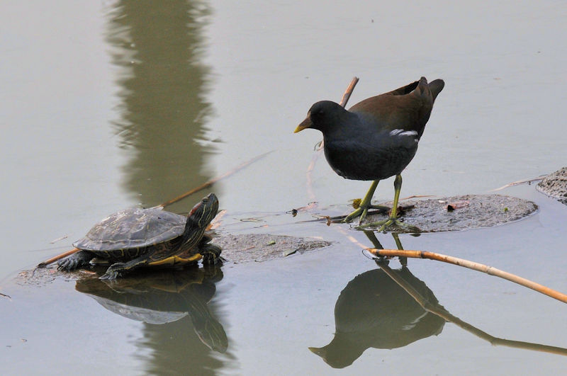 oƃJ@J@s@2022/03/02@Photo by Kohyuh