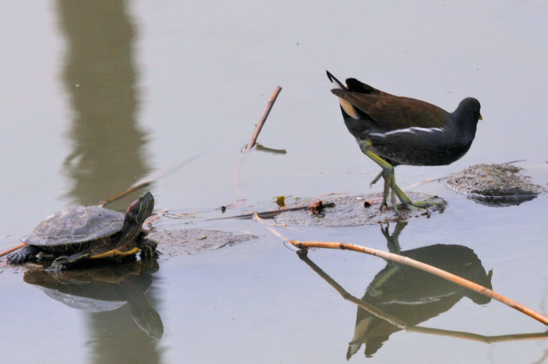 oƃJ@J@s@2022/03/02@Photo by Kohyuh