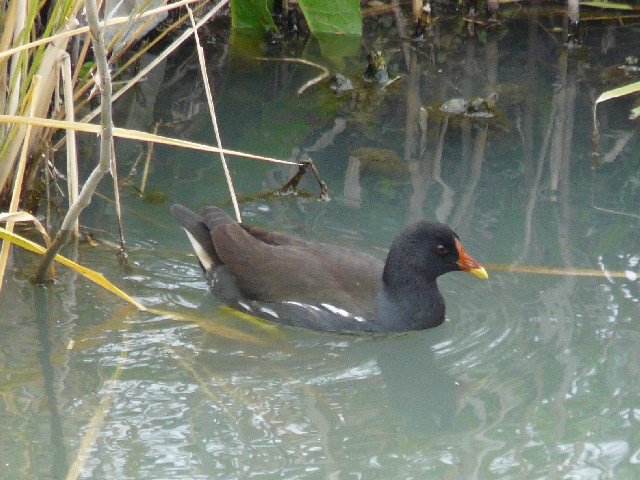 @@oiĉHj@s@J@@2007/11/28@Photo by Takemoto