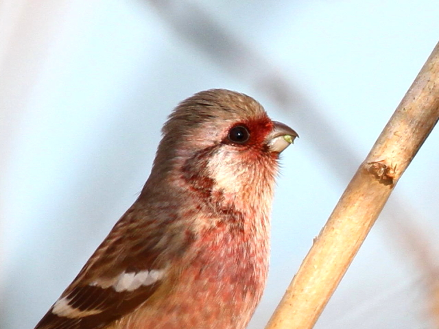 H-6 xj}VR@@@킫R^@s@2013/01/24@Photo by Manda