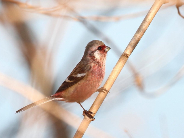 H-5 xj}VR@@@킫R^@s@2013/01/24@Photo by Manda