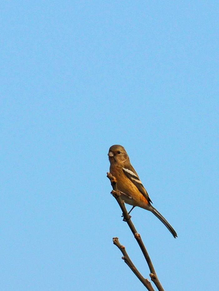 xj}VR@ ͐ CV]n@s 2019/01/13@Photo by Kohyuh