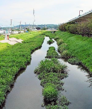 񋞍㓹̖h@2006/09/14 Photo by Kohyuh