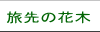 旅先の花木