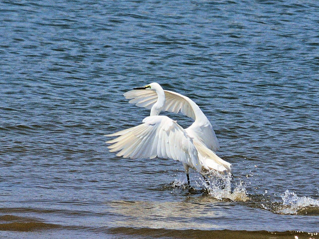 C _CTM@@ĉH@s@\O@2013/04/13@Photo by Kohyuh