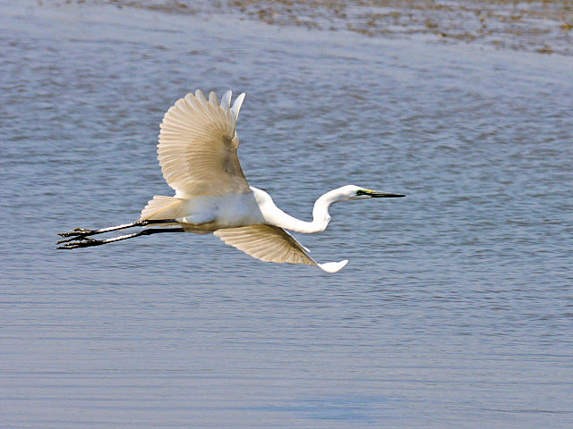 D _CTM@@ĉH@s@\O@2013/04/13@Photo by Kohyuh