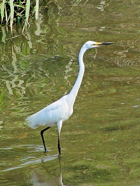 B _CTM@@s@J@2003/06/08@Photo by Kohyuh