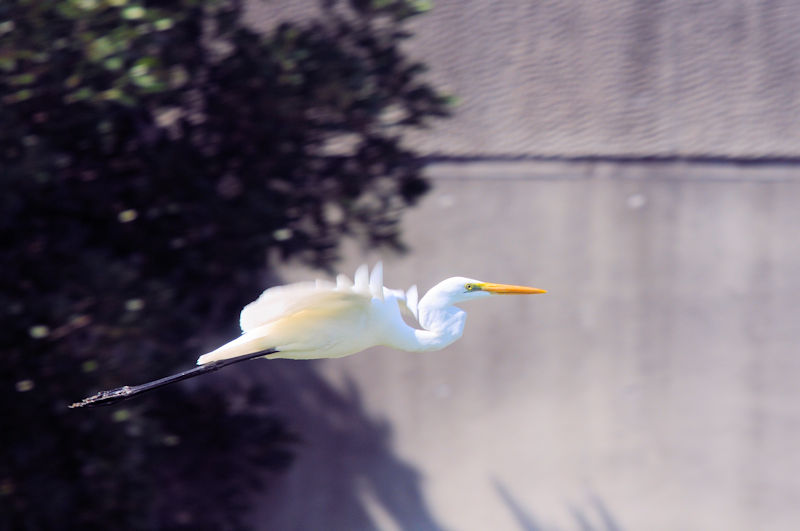 _CTM ᒹ@h@s@2021/10/03@Photo by Kohyuh