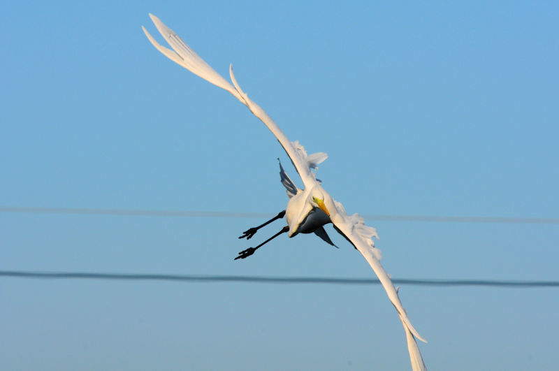 _CTM@J@s@2021/12/09@Photo by Kohyuh