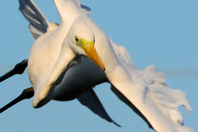 _CTM@J@s@2021/12/09@Photo by Kohyuh