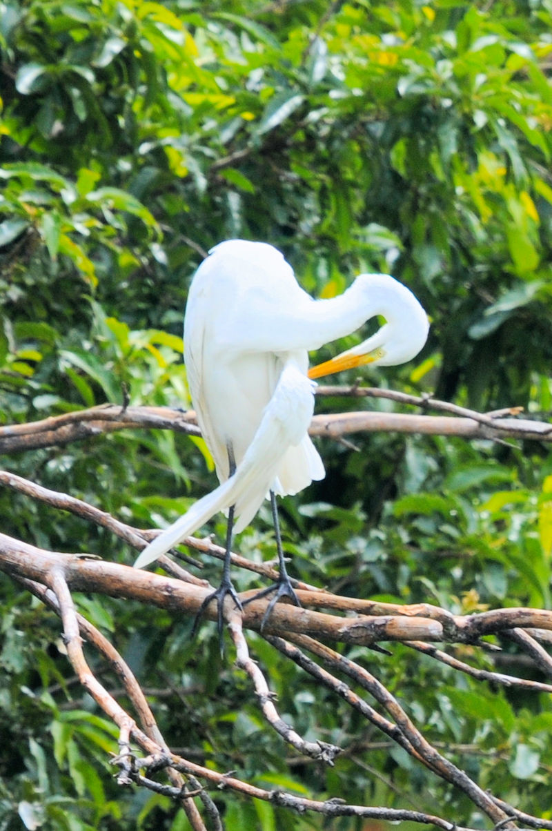 _CTM@ᒹ@sA@s@2022/06/23@Photo by Kohyuh