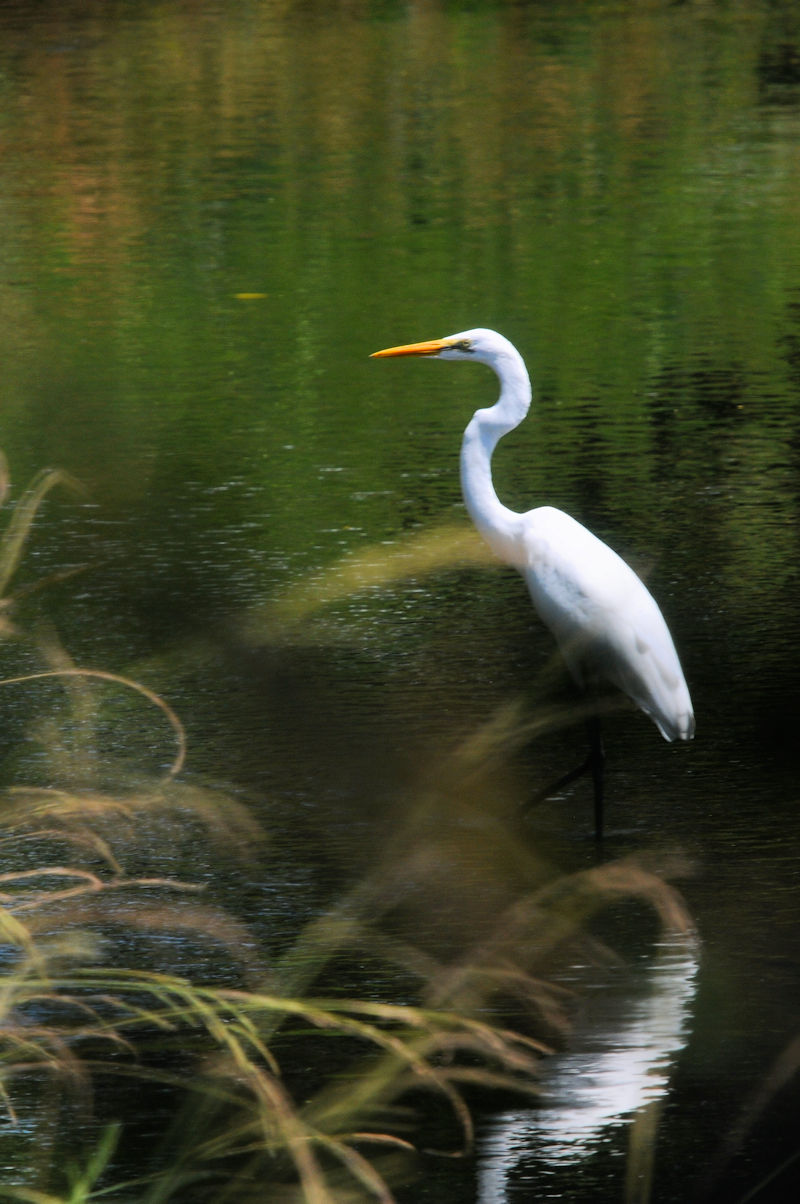 _CTM@J@s@2023/07/29@Photo by Kohyuh