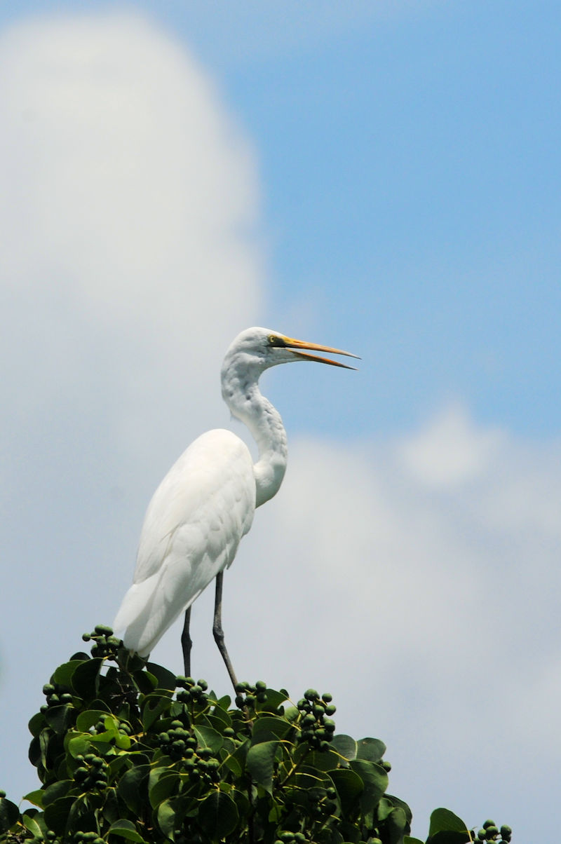 _CTM@J@s@2023/08/02@Photo by Kohyuh