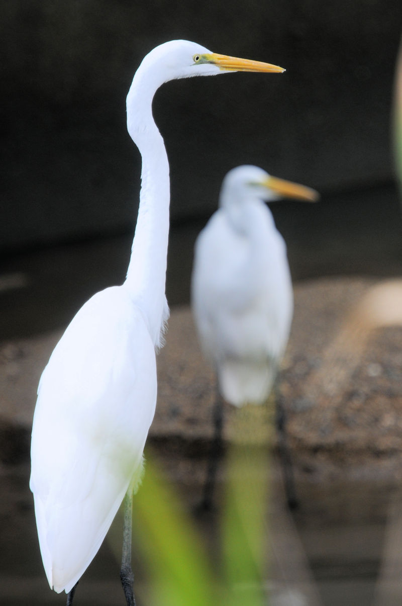 _CTM@J@s@2023/10/01@Photo by Kohyuh