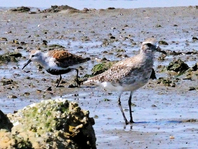 B iEj _C[@@~H@ ij n}VM@@썶݁@s@2010/04/28@Photo by Kohyuh