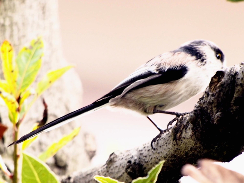 GiK@@s@2016/09/26@Photo by Nagamura