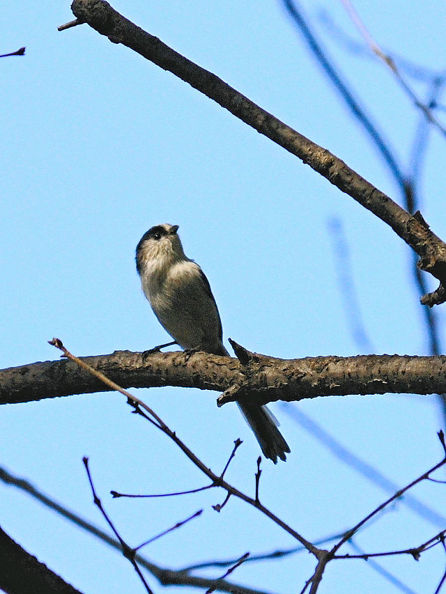 GiK@iR-1j@jR@s@2012/09/28@Photo by Kohyuh