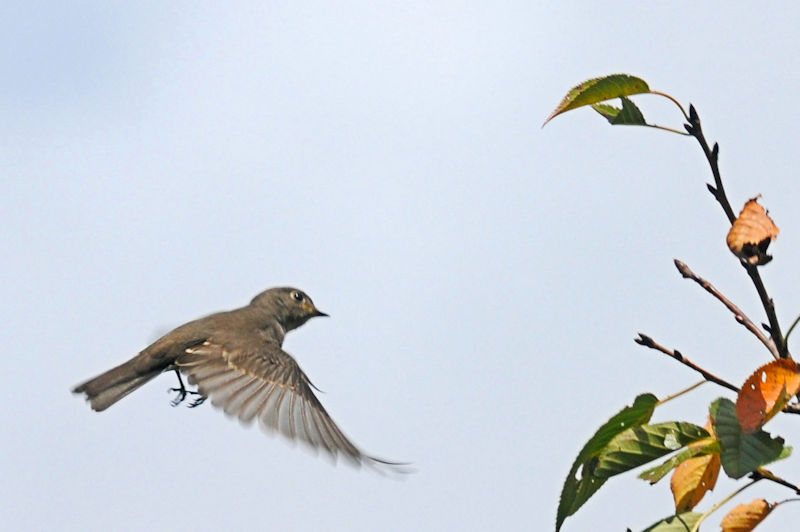 G]r^LiR-1j@ǒr@2019/10/10@Photo by Kohyuh