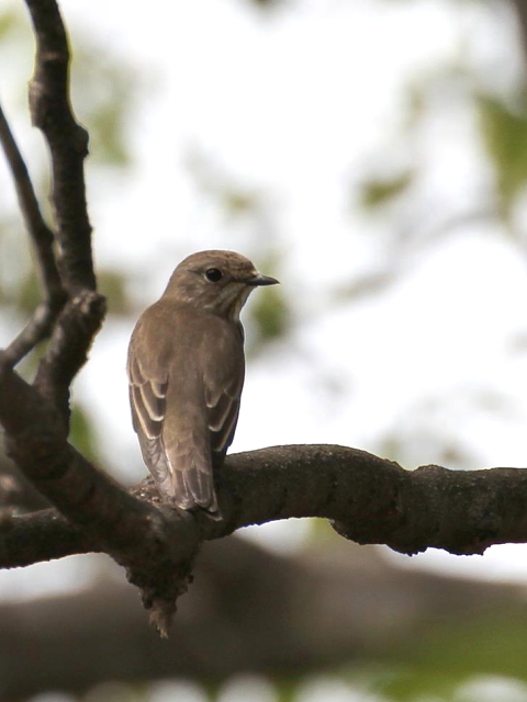 C G]r^L@@s@@2013/10/04@Photo by Manda@iʐ^B񋟁F@ݓcj