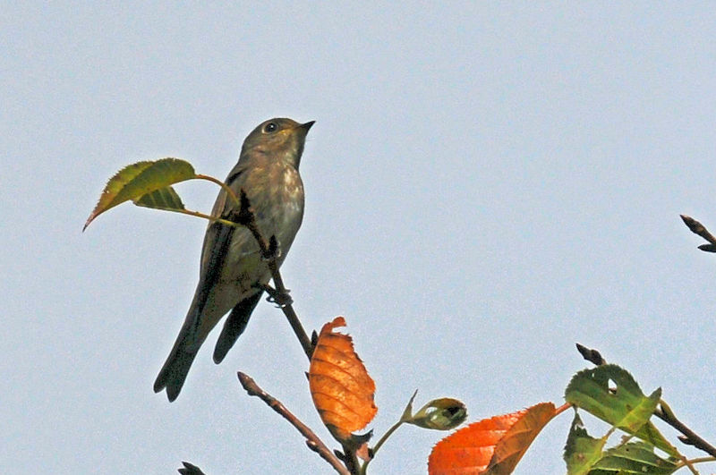 G]r^LiR-2j@ǒr@2019/10/10@Photo by Kohyuh