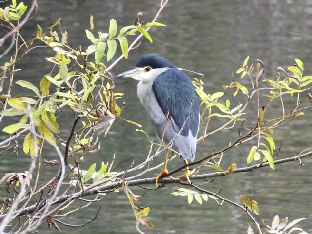 E SCTM@@s@Βn@2012/12/18@Photo by Manda@iʐ^񋟁F@ݓcj