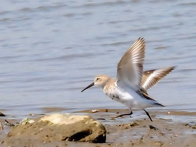 D n}VM@ᒹ@썶݁@s@2010/04/28@Photo by Kohyuh