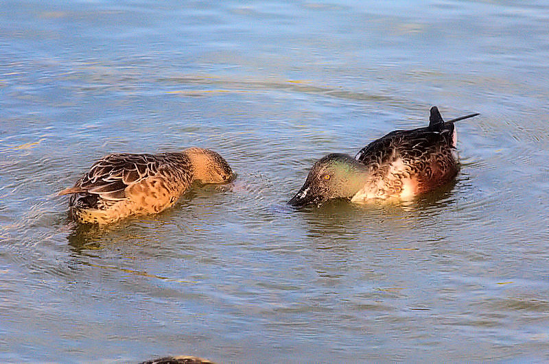 nVrK@@̒r@s@2017/11/13@Photo by Kohyuh