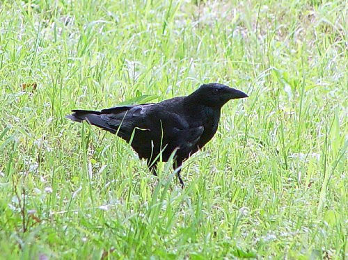 @ nV{\KX@@s@w@2005/07/08@ Photo by Kohyuh