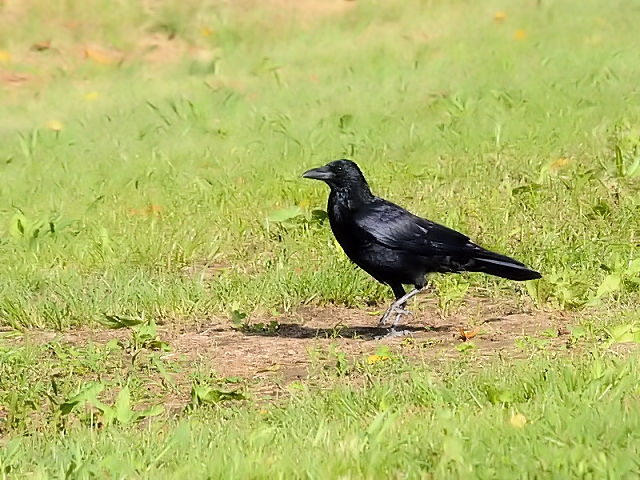 nV{\KX iQ-1j@w@s@2016/10/09@ Photo by Kohyuh