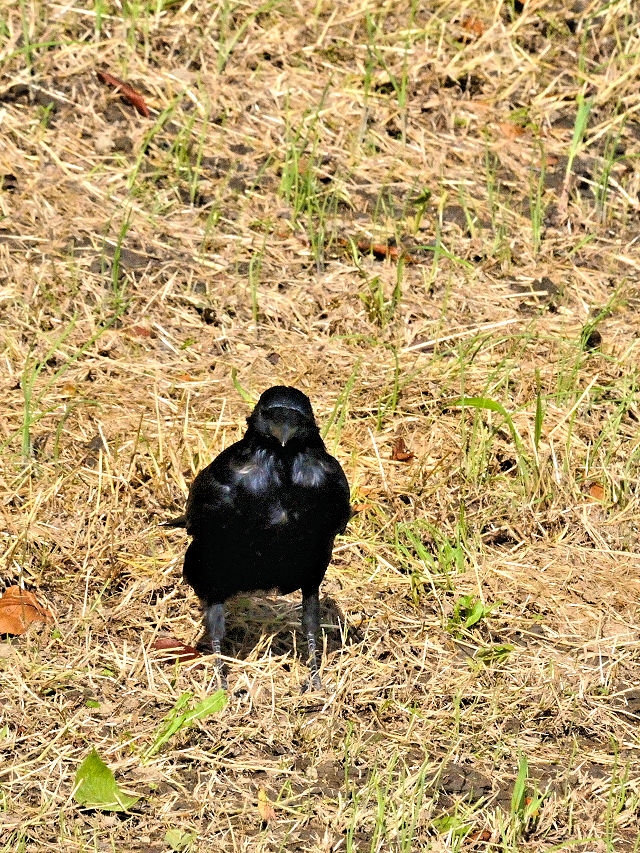 nV{\KX iQ-2j@w@s@2016/10/09@ Photo by Kohyuh