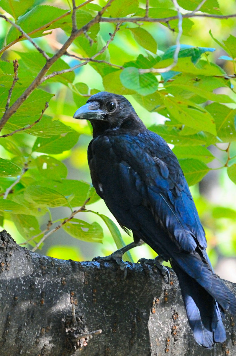 nV{\KX@w@s@2017/09/29@ Photo by Kohyuh