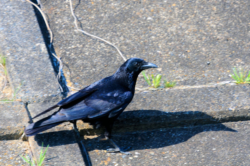 nV{\KX@D@s@2020/04/04@ Photo by Kohyuh