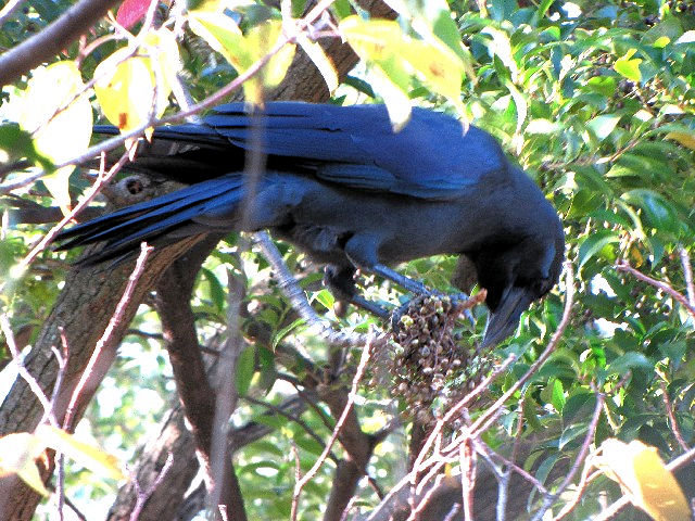 B nV{\KX@@s@Rcr@2009/10/18@Photo by Kohyuh