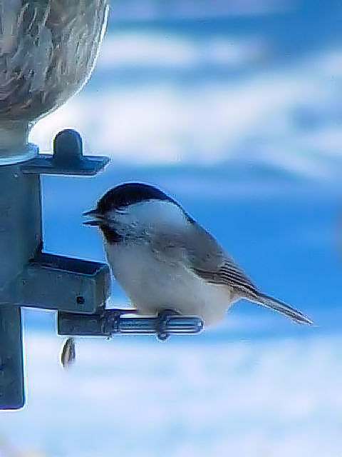  @ nVugK@@ߋEكTN`A@kC@2008/02/01@Photo by Kohyuh