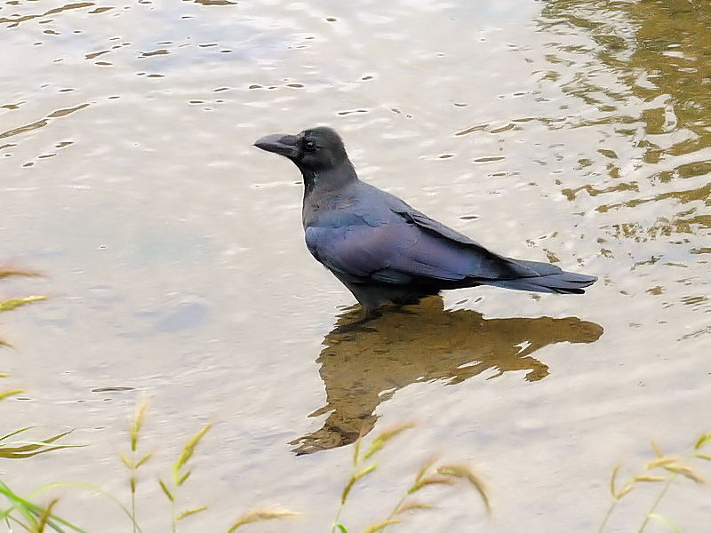 nVugKX@@s@ iق傤j@2014/09/17@ Photo by Kohyuh