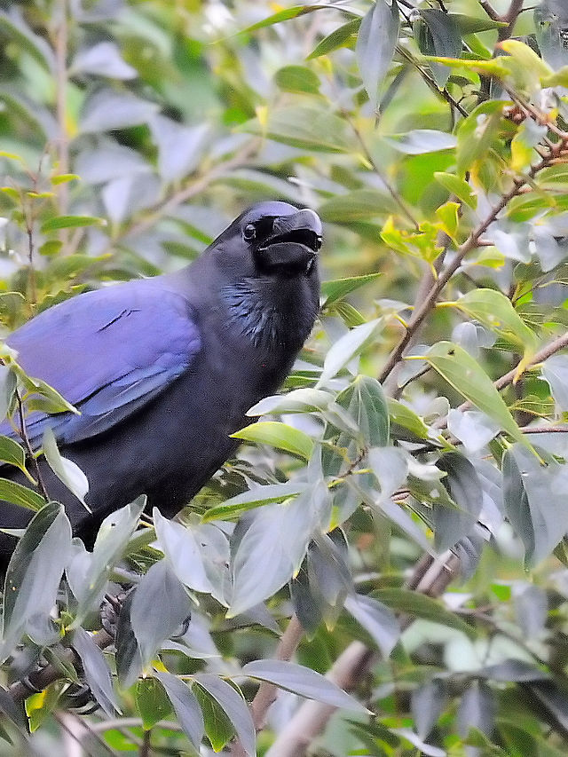 nVugKX@@s@썶݁@2016/10/23@Photo by Kohyuh