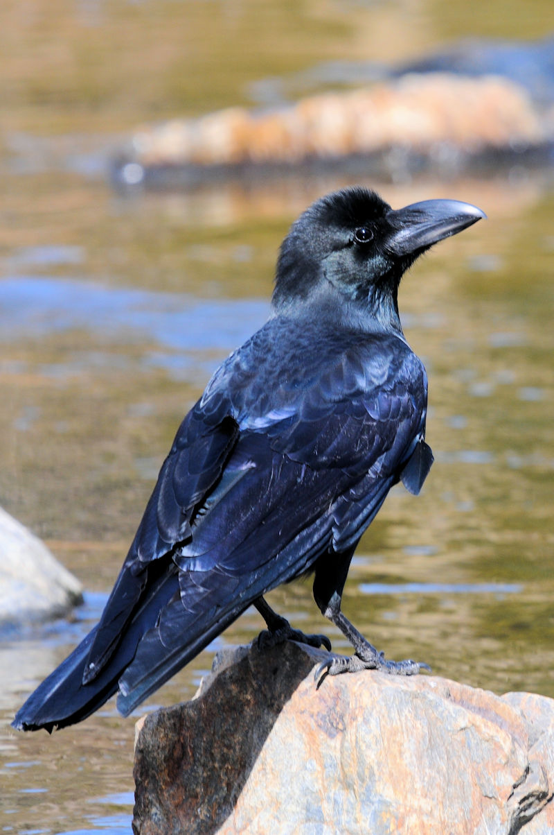 nVugKXiRԁj@@ԔLOߌΒn@s@2021/02/25@Photo by Kohyuh