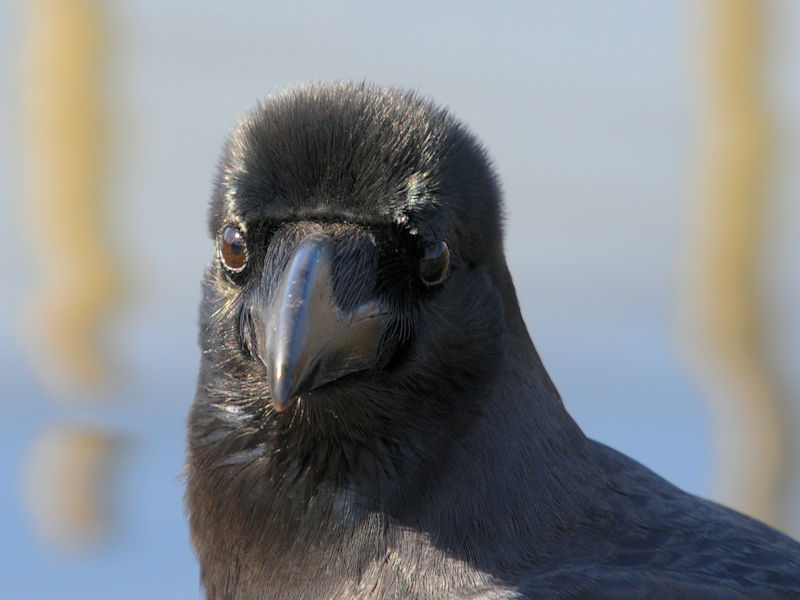 nVugKXiRԁj@@ԔLOߌΒn@s@2021/02/25@Photo by Kohyuh